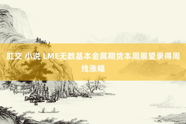 肛交 小说 LME无数基本金属期货本周展望录得周线涨幅