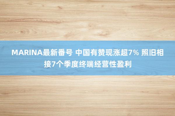 MARINA最新番号 中国有赞现涨超7% 照旧相接7个季度终端经营性盈利