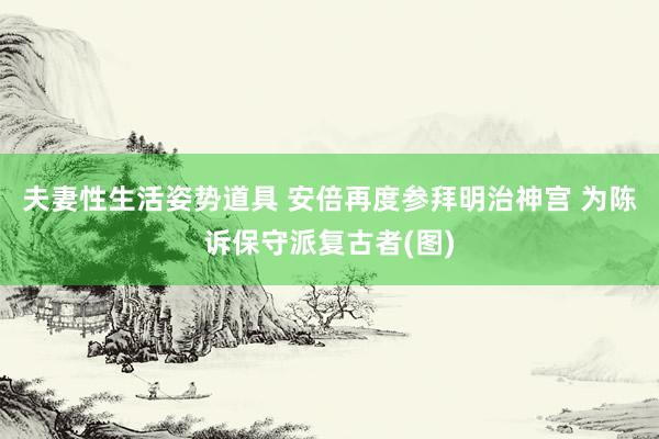 夫妻性生活姿势道具 安倍再度参拜明治神宫 为陈诉保守派复古者(图)