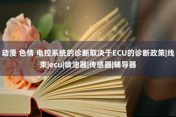 动漫 色情 电控系统的诊断取决于ECU的诊断政策|线束|ecu|喷油器|传感器|辅导器